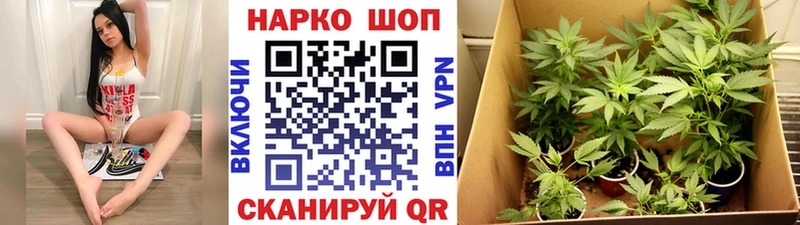 Купить закладку Канабис  Псилоцибиновые грибы  Меф мяу мяу  КОКАИН  Макушино