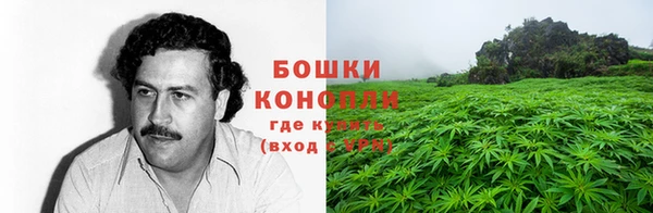 a pvp Каменногорск