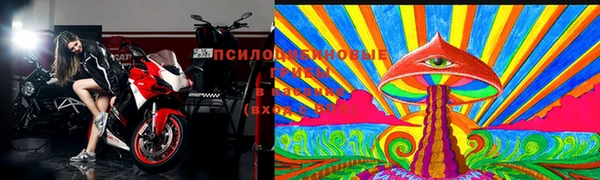 мескалин Каменка