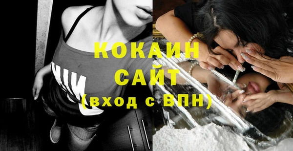 кокс Инсар
