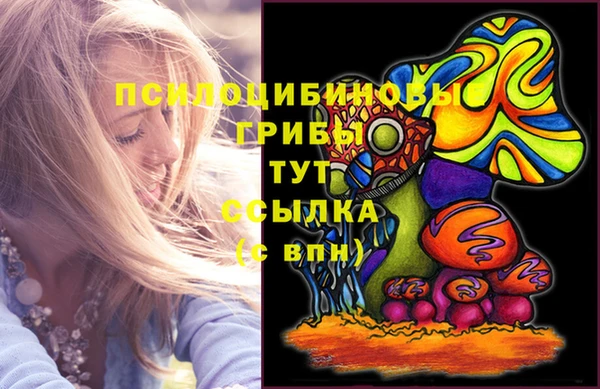кокс Инсар